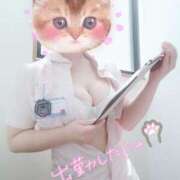 ヒメ日記 2025/07/20 14:00 投稿 あおい 熊本しこたまクリニック