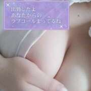 ヒメ日記 2025/09/26 14:20 投稿 あおい 熊本しこたまクリニック