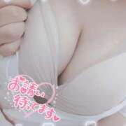 ヒメ日記 2025/11/11 09:40 投稿 あおい 熊本しこたまクリニック