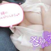 ヒメ日記 2025/11/12 18:50 投稿 あおい 熊本しこたまクリニック