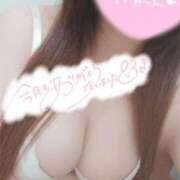 ヒメ日記 2025/11/12 22:20 投稿 あおい 熊本しこたまクリニック