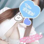 ヒメ日記 2025/11/26 19:00 投稿 あおい 熊本しこたまクリニック