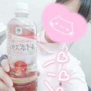 ヒメ日記 2025/12/06 16:05 投稿 あおい 熊本しこたまクリニック