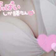 ヒメ日記 2025/12/27 17:50 投稿 あおい 熊本しこたまクリニック