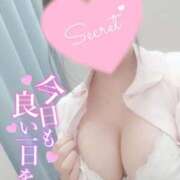 ヒメ日記 2026/02/07 14:23 投稿 あおい 熊本しこたまクリニック