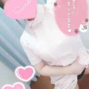 ヒメ日記 2026/02/13 12:43 投稿 あおい 熊本しこたまクリニック