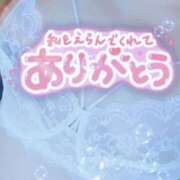 ヒメ日記 2026/02/11 14:06 投稿 立浪 人妻最後の砦 小岩店