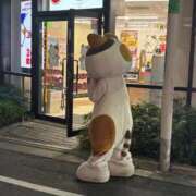 ヒメ日記 2025/11/26 19:21 投稿 さくら 船橋ときめき女学園