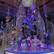 ヒメ日記 2025/12/23 00:51 投稿 さくら 船橋ときめき女学園