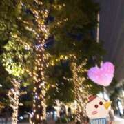 ヒメ日記 2024/12/12 23:53 投稿 はのん やMAT撫子