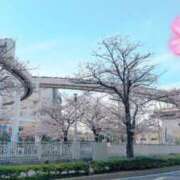 ヒメ日記 2025/04/06 22:46 投稿 はのん やMAT撫子