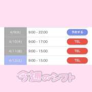 ヒメ日記 2025/04/08 20:34 投稿 はのん やMAT撫子