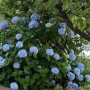 ヒメ日記 2025/06/22 15:49 投稿 はのん やMAT撫子