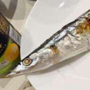 ヒメ日記 2025/09/11 20:02 投稿 はのん やMAT撫子