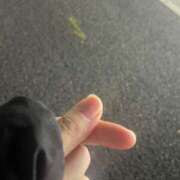 ヒメ日記 2024/12/10 20:08 投稿 こころ 京都BOOK MARK（ブックマーク）