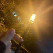 ヒメ日記 2024/12/31 23:18 投稿 こころ 京都BOOK MARK（ブックマーク）