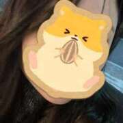 ヒメ日記 2025/01/09 21:38 投稿 こころ 京都BOOK MARK（ブックマーク）