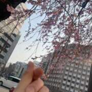 ヒメ日記 2025/03/27 00:58 投稿 こころ 京都BOOK MARK（ブックマーク）