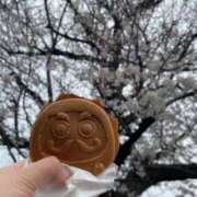 ヒメ日記 2025/04/06 21:38 投稿 こころ 京都BOOK MARK（ブックマーク）