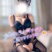 ヒメ日記 2025/02/07 08:45 投稿 なつき ちゃんこ本厚木店