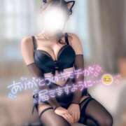 ヒメ日記 2025/04/04 09:32 投稿 なつき ちゃんこ本厚木店