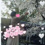 ヒメ日記 2025/04/09 19:19 投稿 しのの ゆるふわKISS