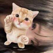 ヒメ日記 2025/09/06 23:32 投稿 すい【おっとり癒しの天使】 STELLA TOKYO－ステラトウキョウ－