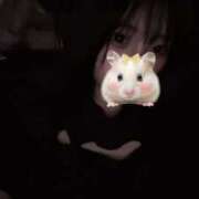 ヒメ日記 2025/09/11 04:10 投稿 すい【おっとり癒しの天使】 STELLA TOKYO－ステラトウキョウ－
