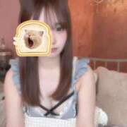 すい【おっとり癒しの天使】 今すぐ会えたら嬉しいな…♡ STELLA TOKYO－ステラトウキョウ－