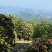 ヒメ日記 2025/05/04 23:30 投稿 ういか 京都出張メンズエステChou Chou（シュシュ)