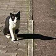 ヒメ日記 2025/09/27 23:50 投稿 ういか 京都出張メンズエステChou Chou（シュシュ)