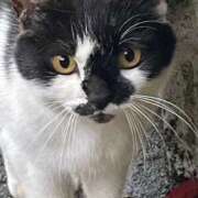 ヒメ日記 2025/11/04 13:20 投稿 ういか 京都出張メンズエステChou Chou（シュシュ)