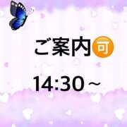 ヒメ日記 2025/11/06 14:50 投稿 ういか 京都出張メンズエステChou Chou（シュシュ)