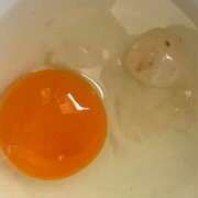 ヒメ日記 2026/01/16 19:30 投稿 ういか 京都出張メンズエステChou Chou（シュシュ)