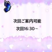 ヒメ日記 2026/02/11 15:10 投稿 ういか 京都出張メンズエステChou Chou（シュシュ)
