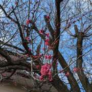 ヒメ日記 2025/01/26 12:43 投稿 やよい 熟女の風俗最終章 立川店