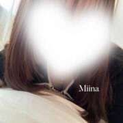 ヒメ日記 2025/07/25 00:58 投稿 みいな 静岡駅前ちゃんこ