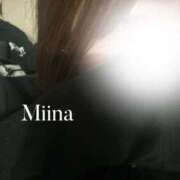 ヒメ日記 2025/11/11 13:55 投稿 みいな 静岡駅前ちゃんこ