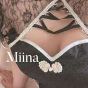 ヒメ日記 2025/12/02 20:58 投稿 みいな 静岡駅前ちゃんこ