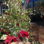 ヒメ日記 2025/12/25 08:48 投稿 みいな 静岡駅前ちゃんこ