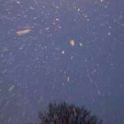 ヒメ日記 2024/12/15 04:03 投稿 八代里緒菜 お姉さんCLUB