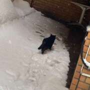 ヒメ日記 2025/02/21 15:57 投稿 八代里緒菜 お姉さんCLUB