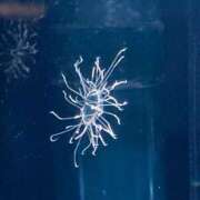 ヒメ日記 2025/03/08 15:27 投稿 八代里緒菜 お姉さんCLUB