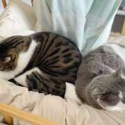 ヒメ日記 2025/05/27 09:29 投稿 近藤ゆか 越谷デリヘル エトワ