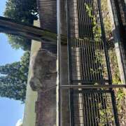 ヒメ日記 2025/06/11 09:41 投稿 近藤ゆか 越谷デリヘル エトワ