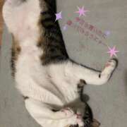 ヒメ日記 2025/07/01 10:29 投稿 近藤ゆか 越谷デリヘル エトワ