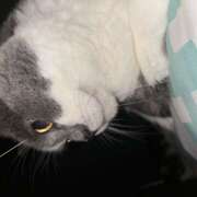 ヒメ日記 2025/08/13 09:28 投稿 近藤ゆか 越谷デリヘル エトワ