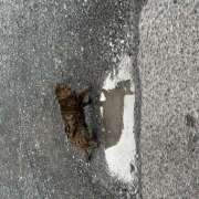 ヒメ日記 2025/09/19 09:14 投稿 近藤ゆか 越谷デリヘル エトワ