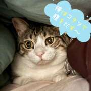 ヒメ日記 2025/10/21 09:24 投稿 近藤ゆか 越谷デリヘル エトワ