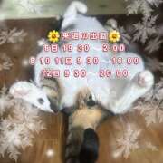 ヒメ日記 2025/12/03 09:30 投稿 近藤ゆか 越谷デリヘル エトワ